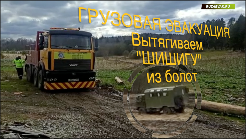 Шишига застряла